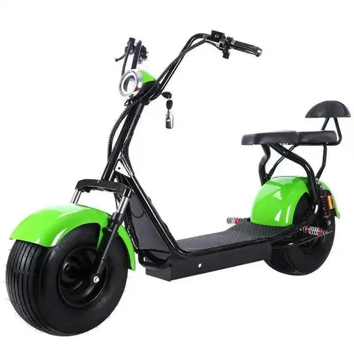 Hot Sale Electric Scooter 48/60V 20ah 2 Seats E Bike Electric Bicycle