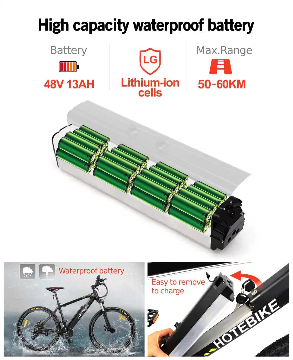 36V/48V 250W/350W/500W/750W High Power Mountain Electric Bike