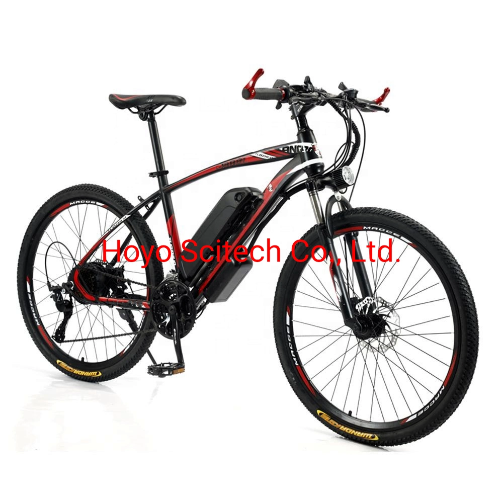 Electric Bike Bicycle Foldable Electric Bicycle