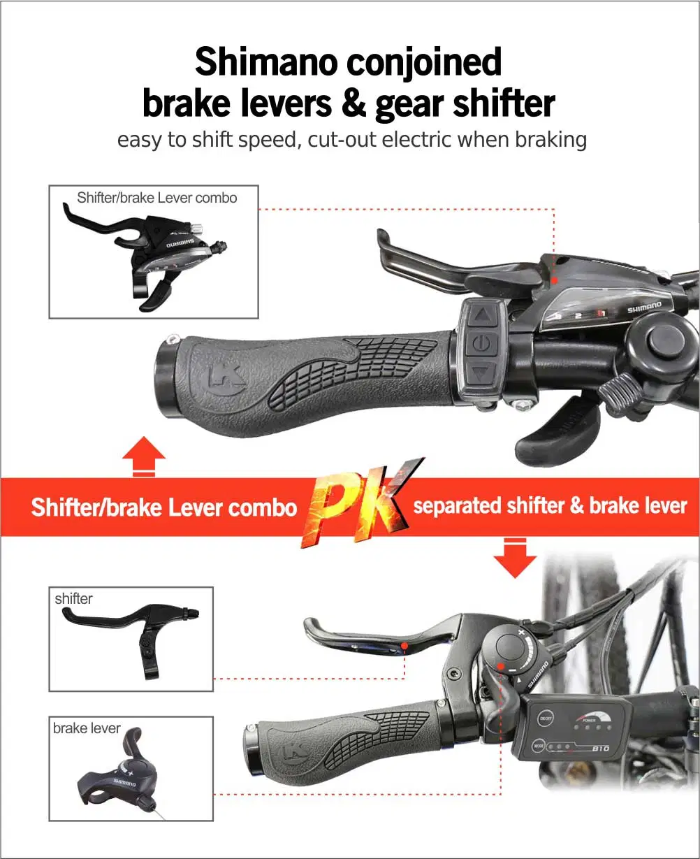 36V/48V 250W/350W/500W/750W High Power Mountain Electric Bike