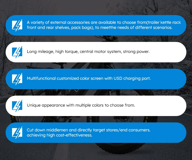 Best Transmission 11 Speed Fat Fetus Electric Bicycle 48V 15ah Electric Mountain Bike