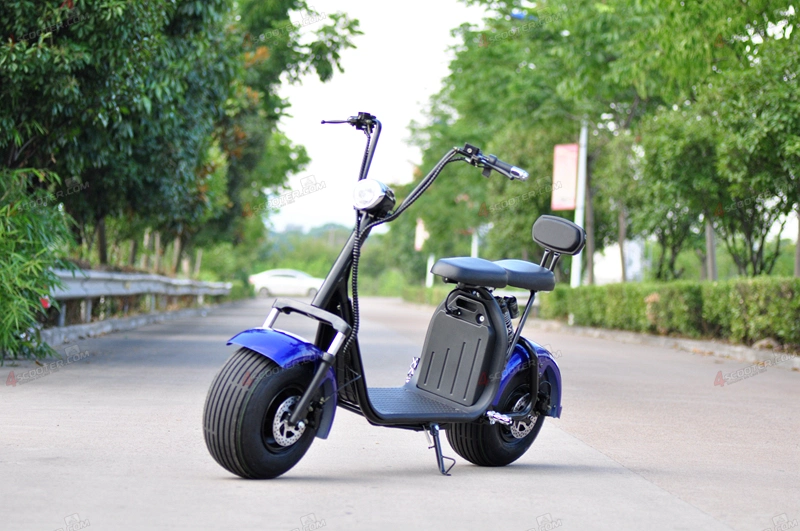 Powerful High Speed Practical Delivery 2 Wheel Bicycle Citycoco Moped Electric Scooter