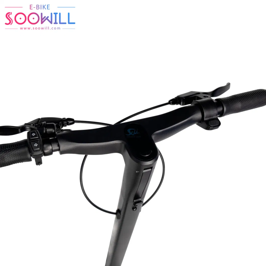 Soowill Digital City 48V Electric Bike Rear Wheel Brake 48V 13.5ah (Chinese Lithium Battery/4500mAh) Electric Scooter