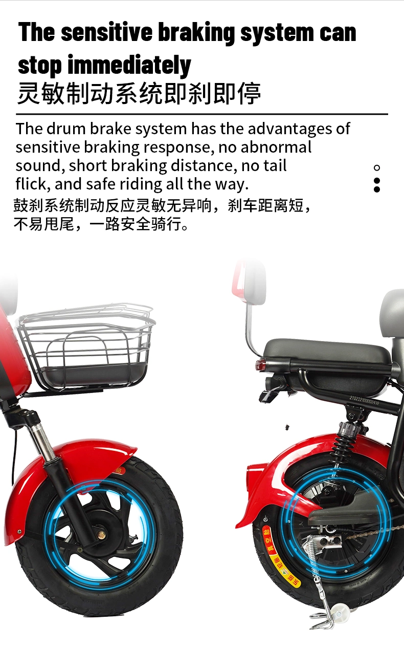 55km Max Range Electric Bike Electric Scooter Electric Moped