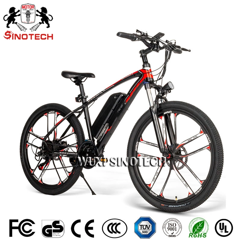 Fast Delivery Ebike Electric Bike 48V 350W Rear Motor Electric Bicycle Folding Ebike