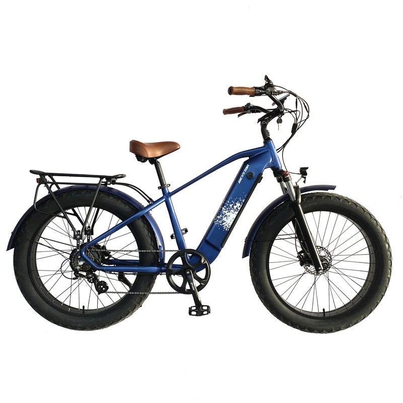 Cheap 1000W Ebike Electric Bikes Fat Tire City Bike for Adults