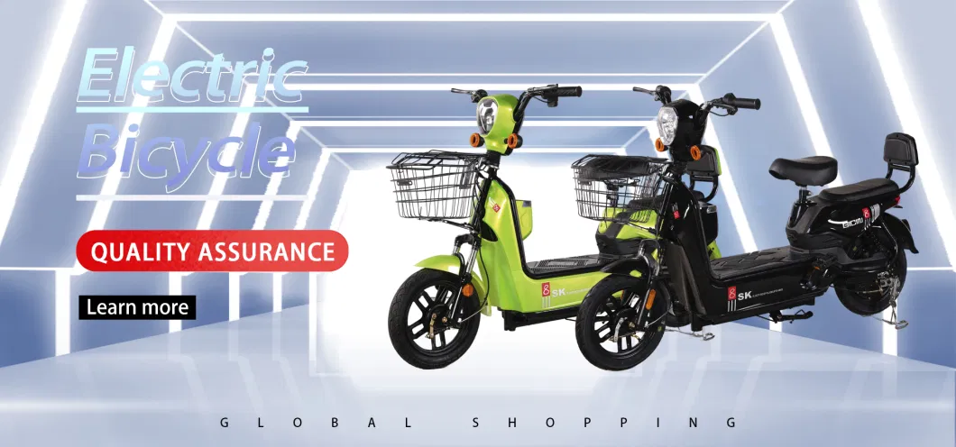 48V 350W Electric Bicycle Sepeda Listrik E-Bikes 2023 Electric Bicycle Sale