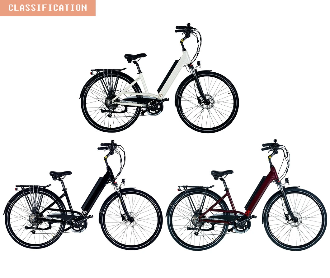 2023 Factory Price Ebike with Removable 36V Lithium Battery Electric Bike