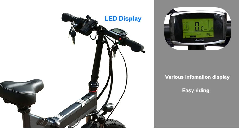 36V Ebike Battery Bicycle Electric Bike 20inch E Cycle Hub Motor Electric Bike