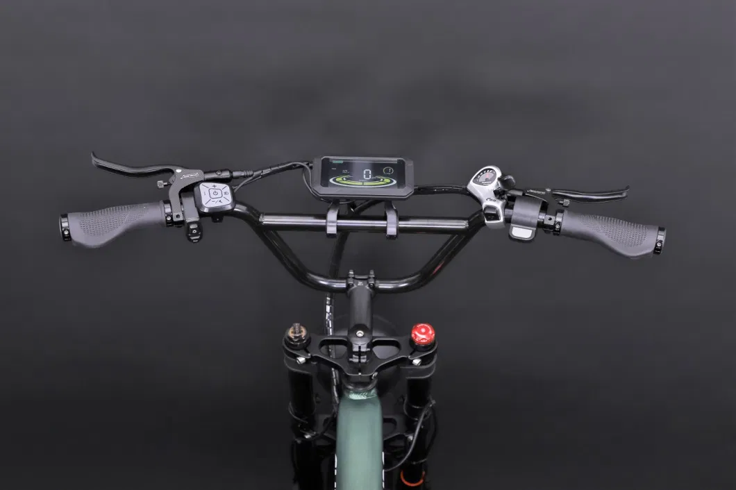Hot Sale Electric Bicycle 1000W High Speed High Power Electric Motorcycle with Cheaper Price