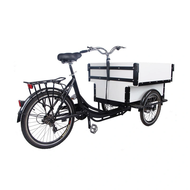 Electric Mobile Cargo Bike Trends Style White Color Motorized Tricycles for Adults Family Kids Children Scooter Customizable