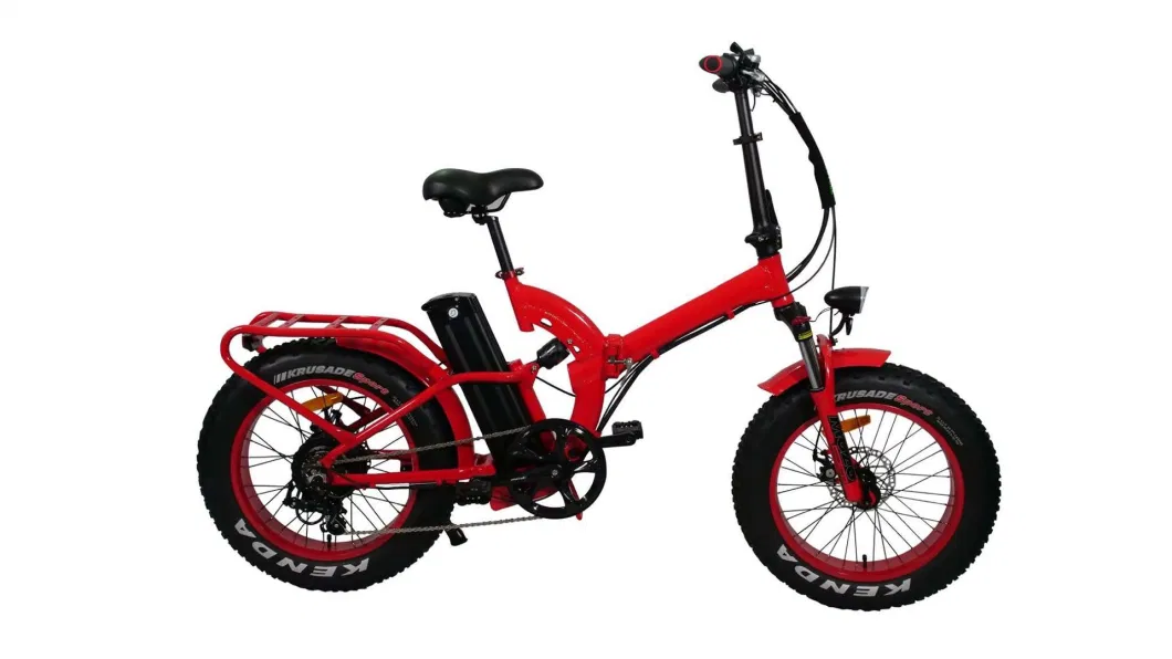 Full Suspension Electric Mountain Bike/750W Electric Bike/Mini Electric Bike