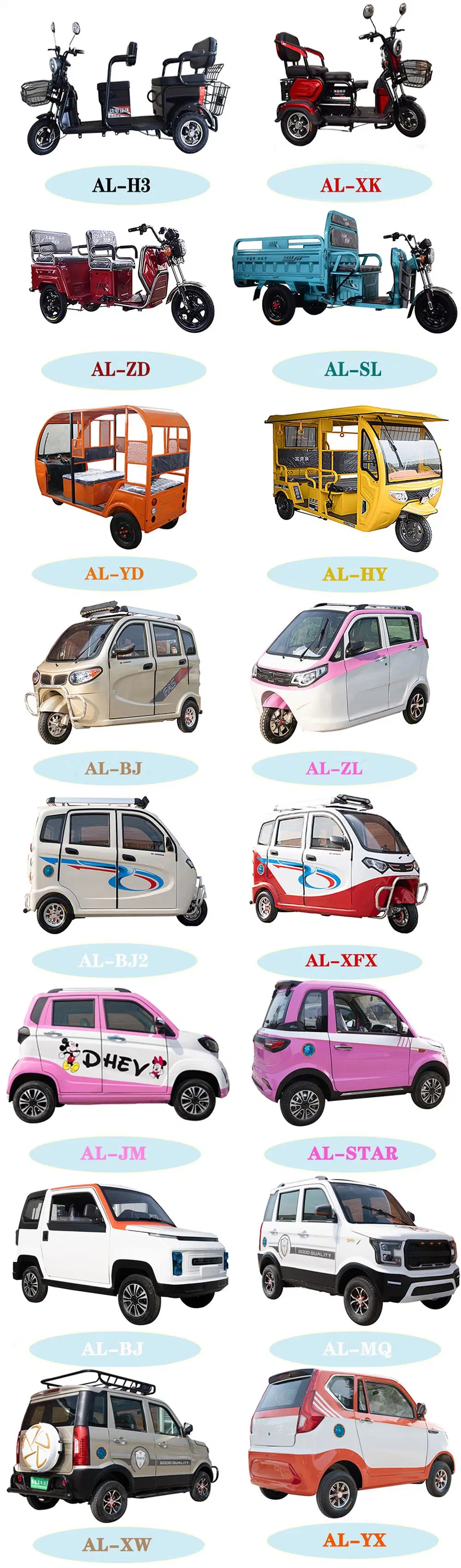 Al-E6 Electric Motorcycle 1200W Adult Electric Motorcycle with Sidecar