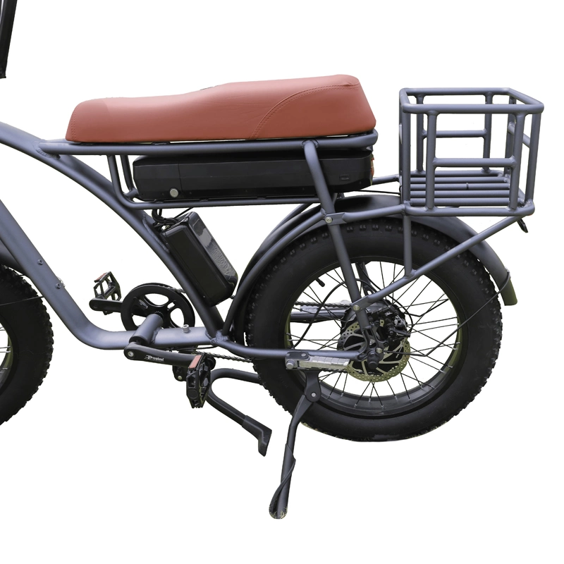 2000W and 48V High Performance Electric Bicycle with Fat Tire Electric Bike