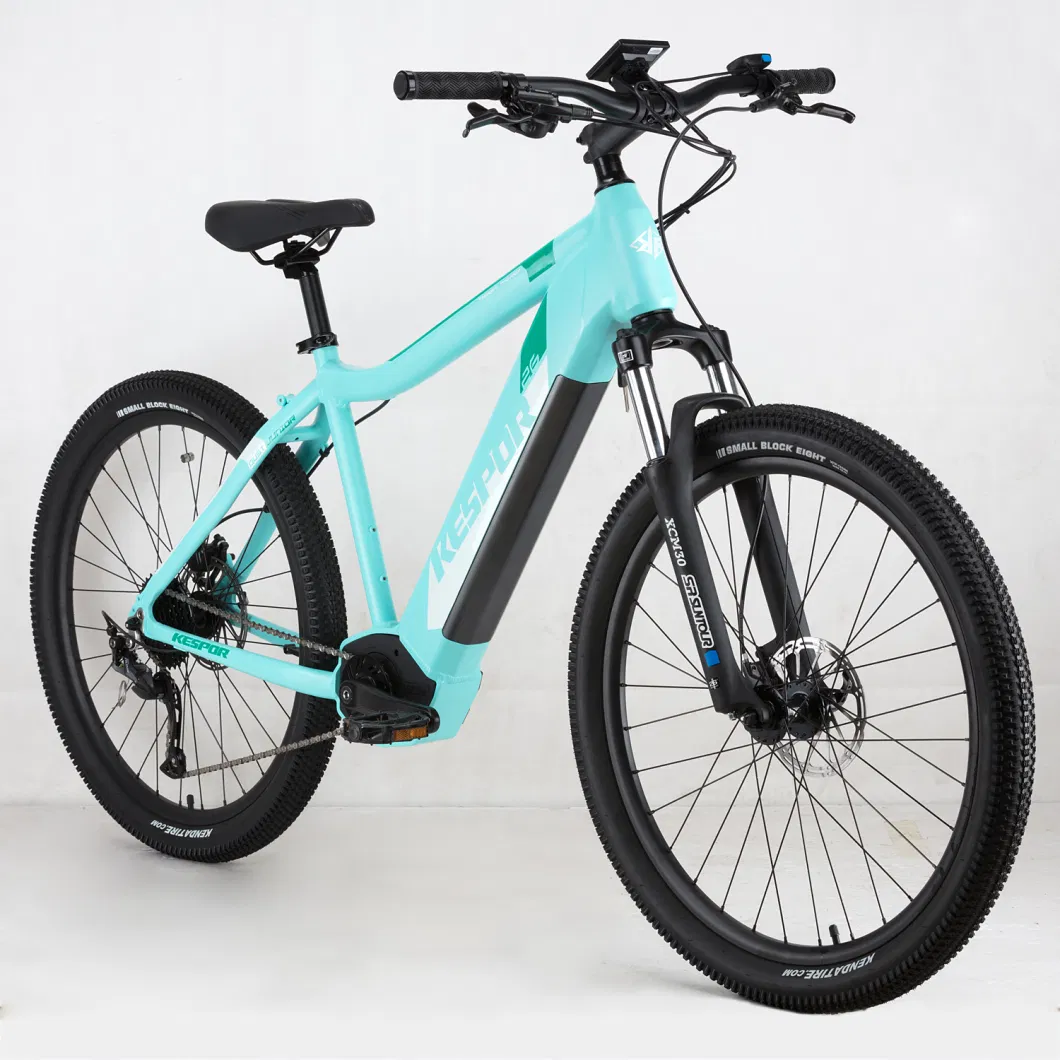 High Quality Fast Delivery 26 Inch 250W Electric Bike Bicycle with Shimano Gear