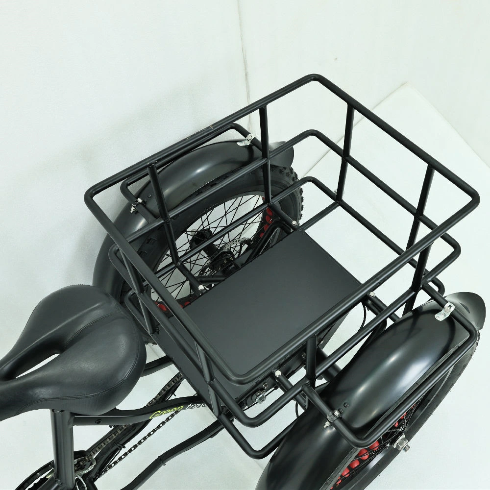 CE Certificate Customized Electro-Tricycle Trike Delivery Cargo Electric Tricycle