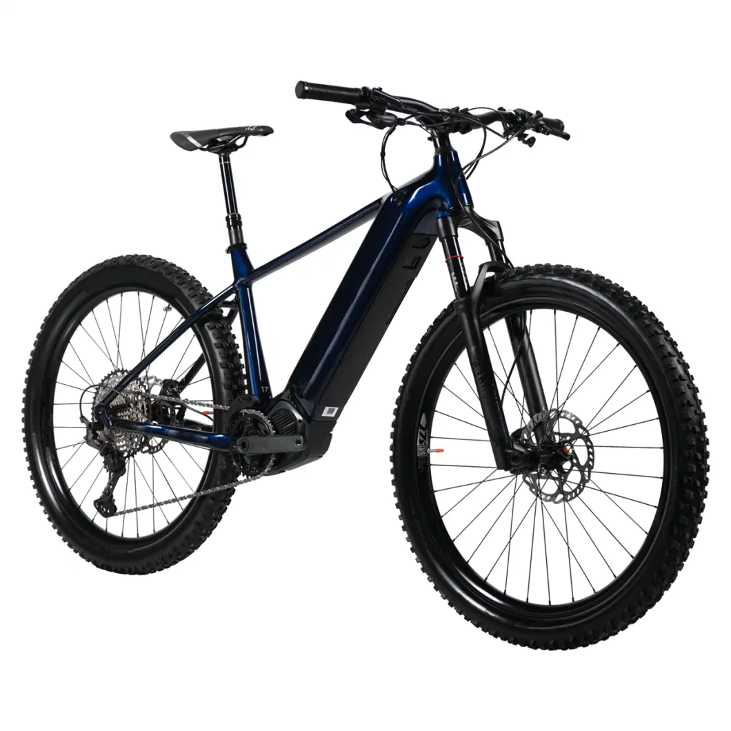 New Design CE Ebike with Rear Seat 250W 36V Electric Mountain Bike Dual Battery 26inch Adult Electric Bicycle