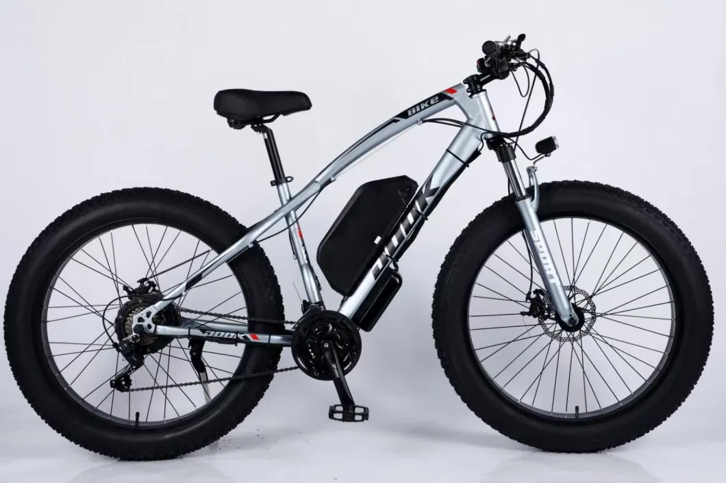Hot Selling Mountain Bicycle Electric Mountain Bicycle E Cycle with 500/1000 Motor and Battery