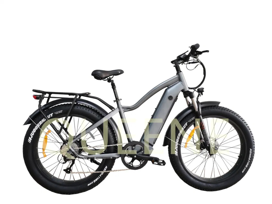 Queene Powerful Bicicleta 500W 750W 7 Speed Electric Bicycle Mountain Ebike Electric City Bike