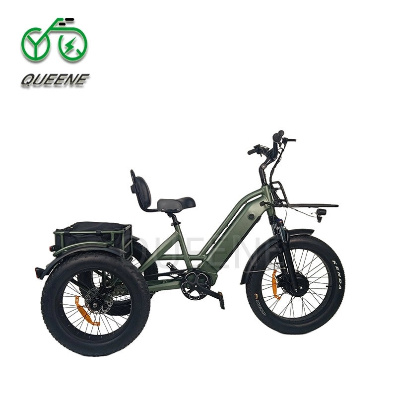 Queene 3 Wheel Electric Bicycle Mountain or Road Tire Electric Trike 20inch Three Wheel Electric Bike