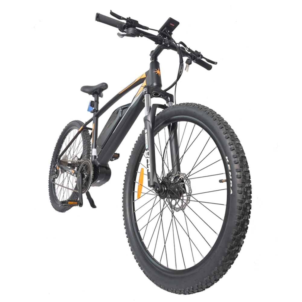 Best Electric Bicycle for City and Mountain Bycicle Electric Mountain Bike E Bicycle Mountain Bike