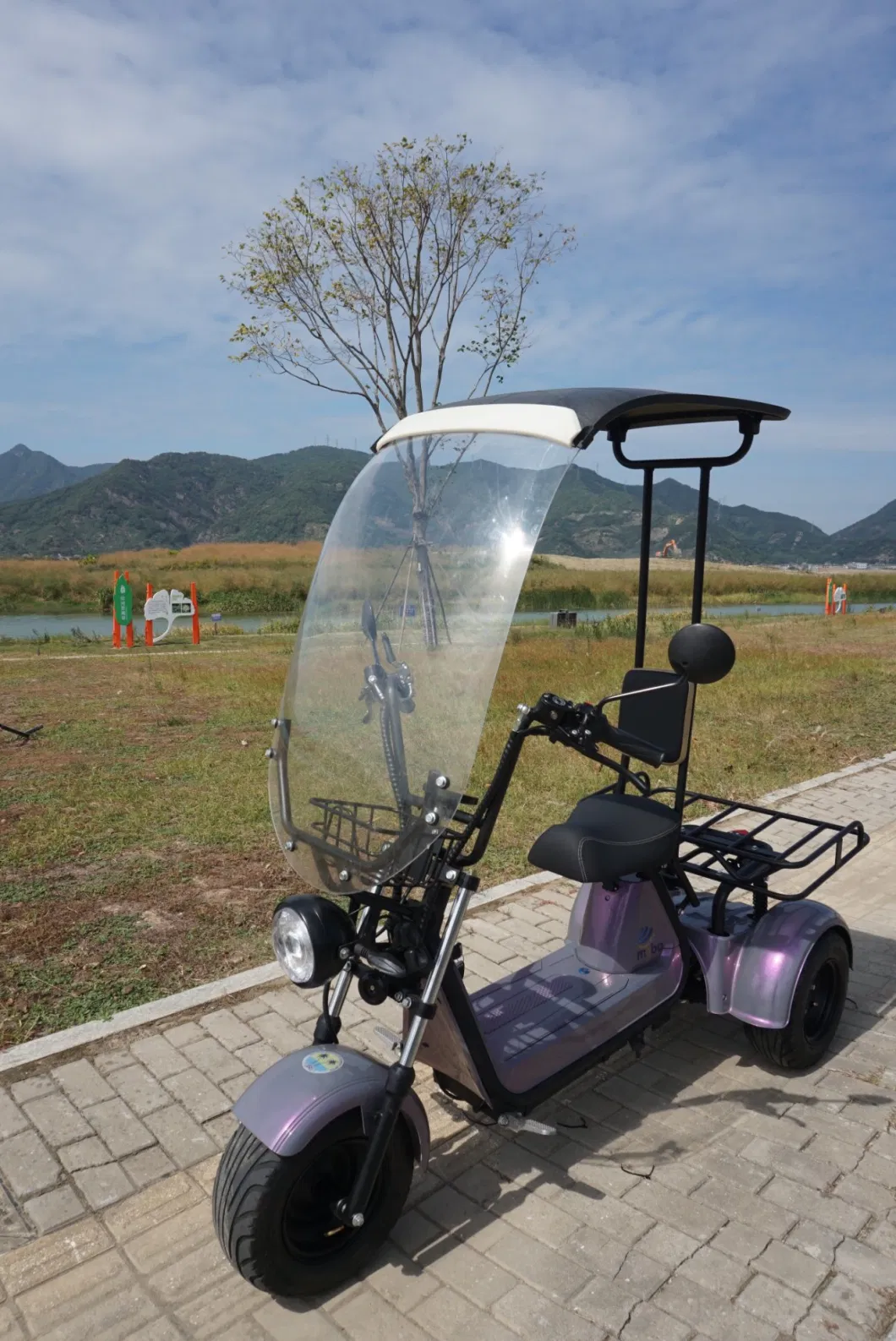 China New Style Three Wheel Mini Scooter Manned Electric Tricycle E Trike for Mobility-Impaire