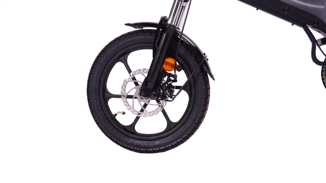 36V 350W 24 Inch Elithium Battery Electric Bike Sport Enduro Ebike Electric Folding Bike