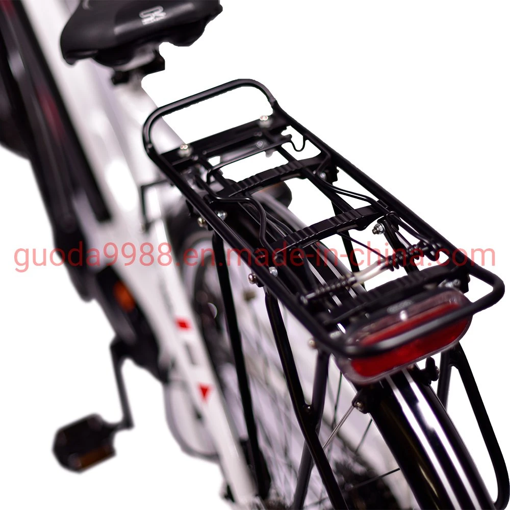 Electric Bike MID Motor E Bicycle Drive Electric City Bike