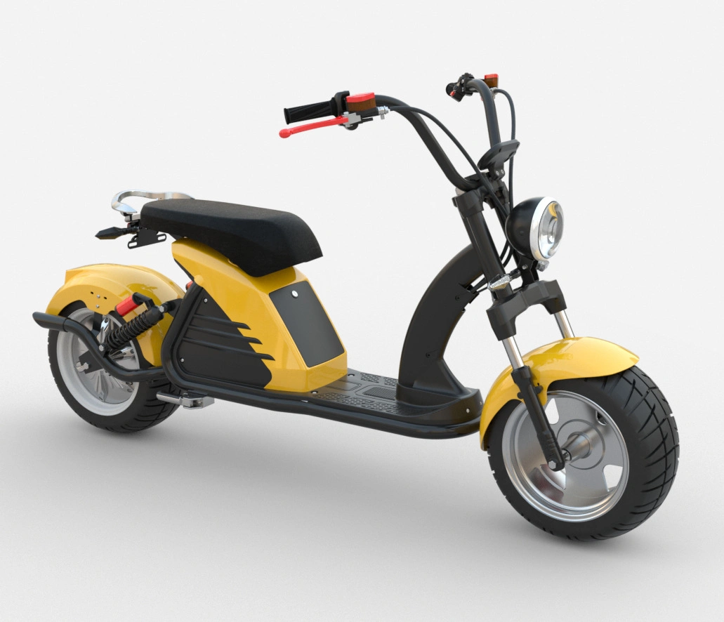 2000W/3000W 10inch/12inch Electric Citycoco Adult New Electric Scooter Motorcycle EEC