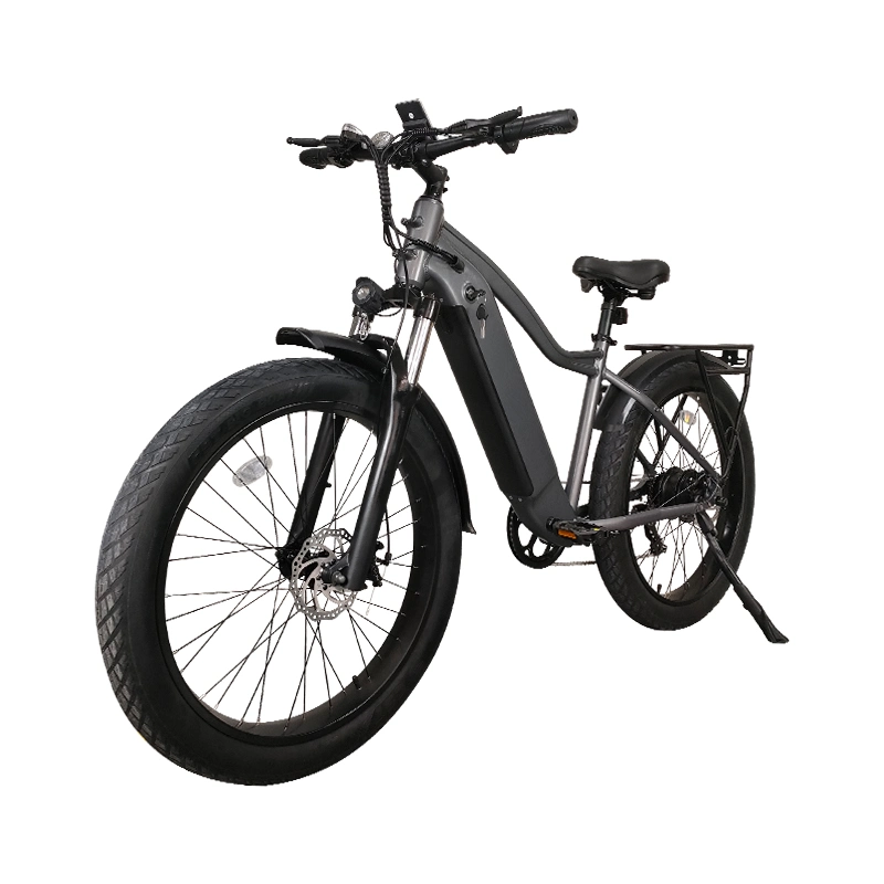 Aluminum Frame 750W 48V Electric Bicycle 26&quot; Electric Bike 7 Speed Electric Mountain Bike