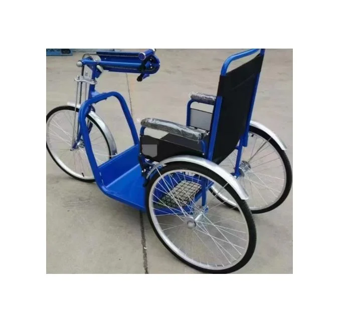 Tricycle Cargo Bike Motorized Tricycles Bike Tricycle for Elderly Handicapped