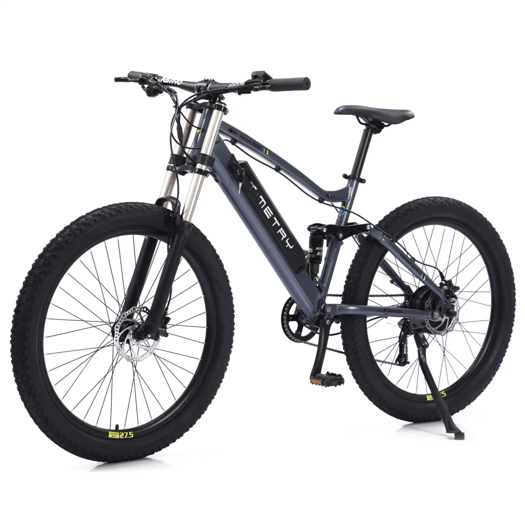2023 Hot Sale MTB Ebike Manufacturer Customized Electric Bike Electric Bicycle Mountain Electric Bicycle