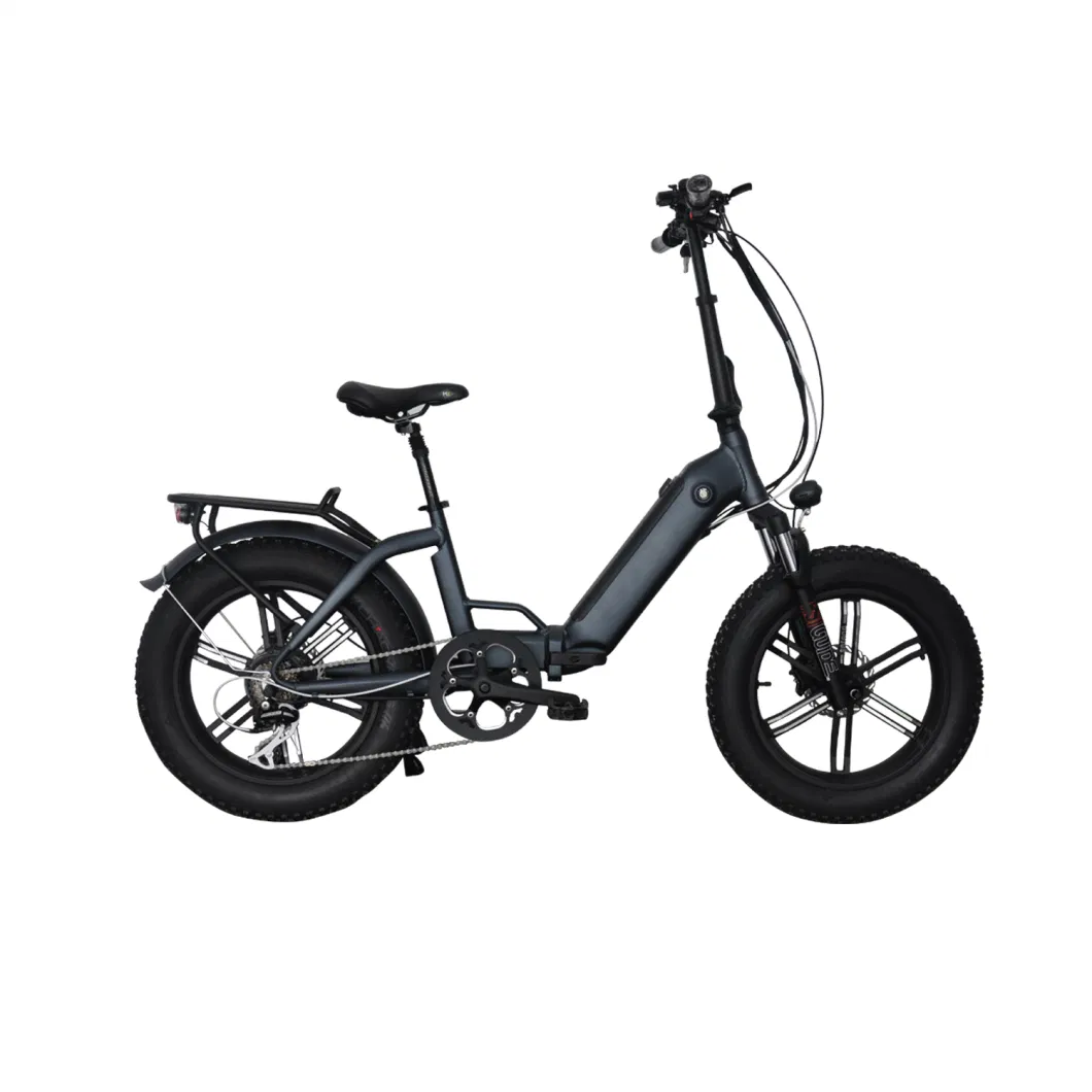 OEM 500/750W 48V 20&quot; High Quality Foldable/Folding Fat Tire Ebike, Fat Electric Bicycle, Fat Electric Bike