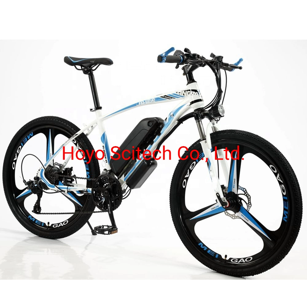 E-Bicycle E-Bike Electric Bike Electric Bicycle From China