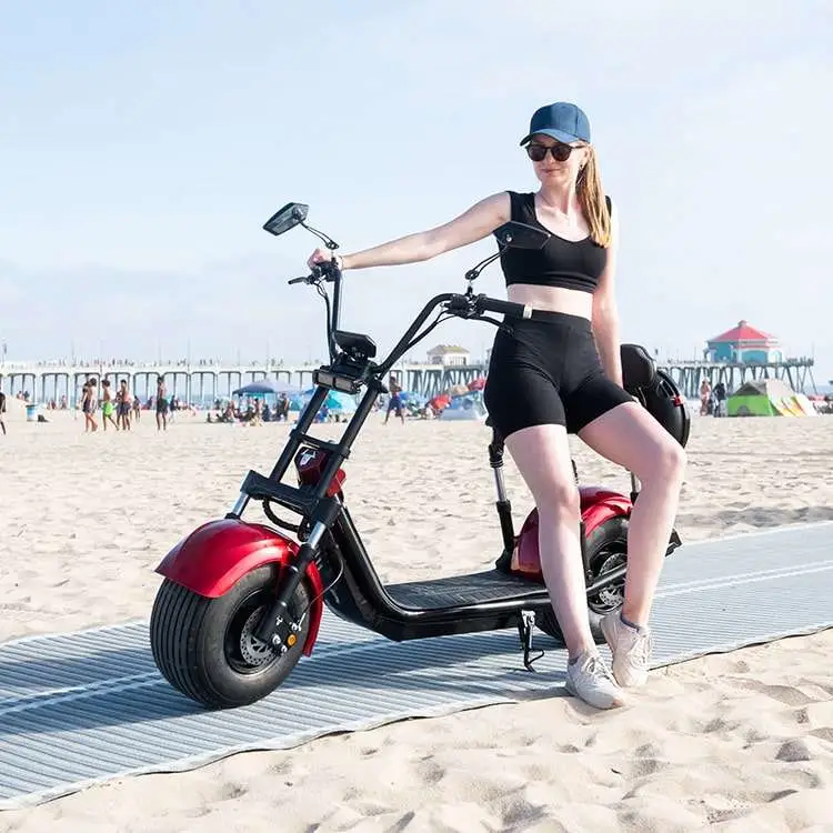 1500W 2000W Citycoco Fat Tire Electric Scooter Moto Electrica EU Approval EEC Coc Electric Motorcycle Citycoco