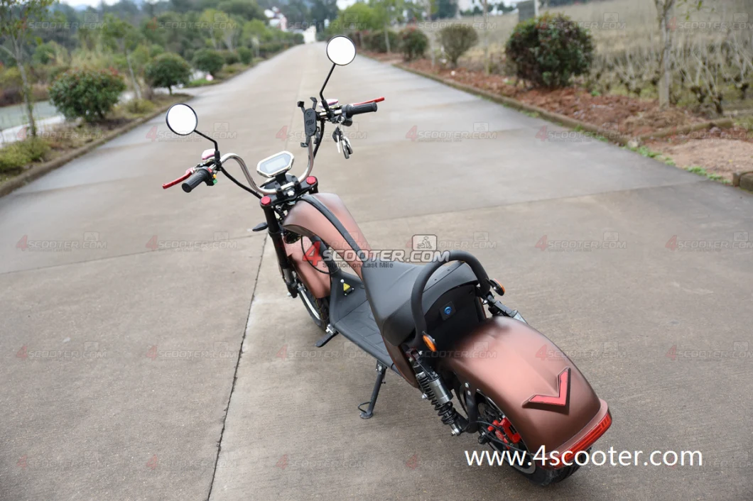 Good Price Best Selling Electric Chopper 2 Wheel Bicycle Citycoco Moped Electric