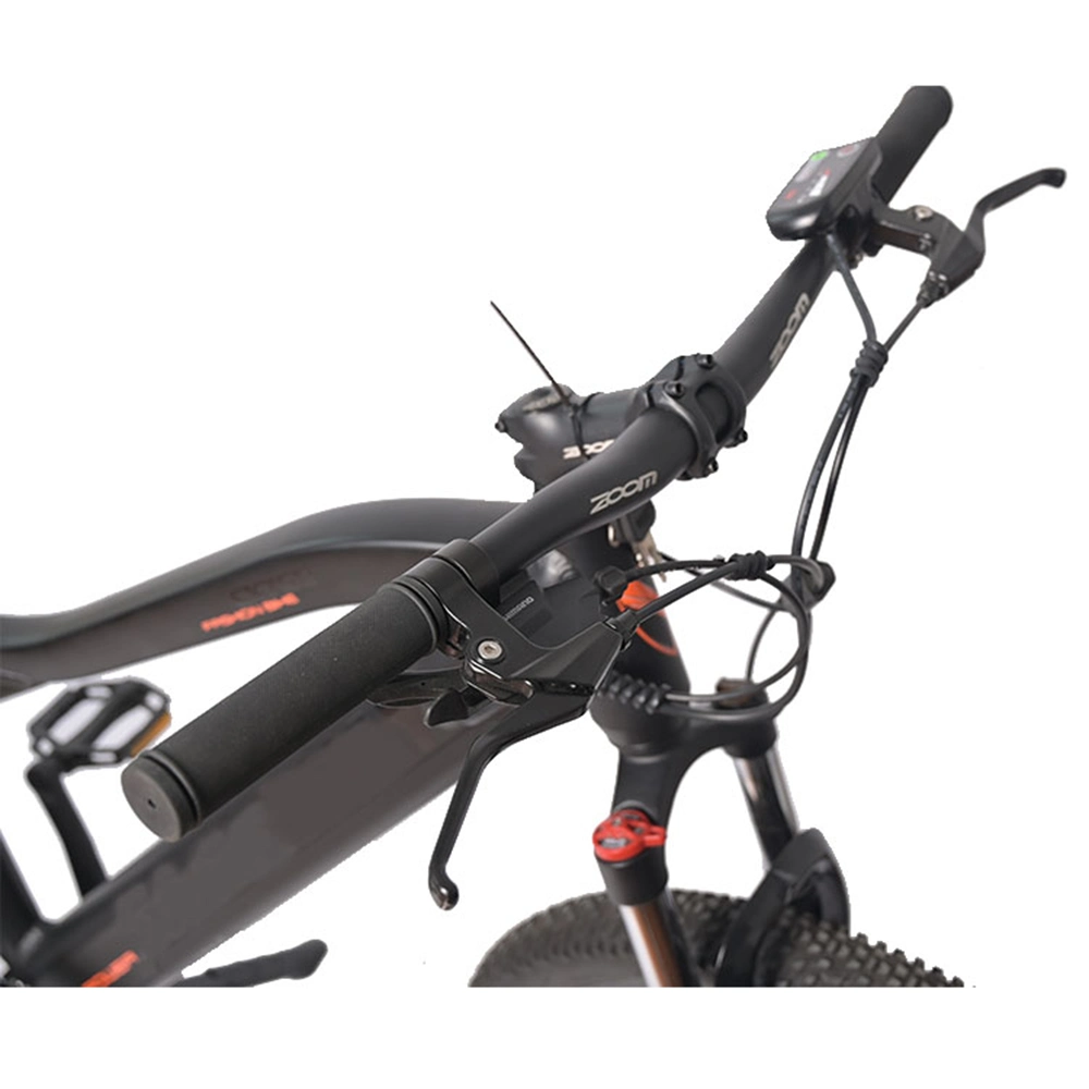 Powerful electric Cycle Bicycle Electric Electric Bikequality Electric Bikerace Ebikeracing E Bike