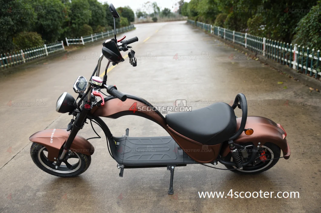 Good Price Best Selling Electric Chopper 2 Wheel Bicycle Citycoco Moped Electric