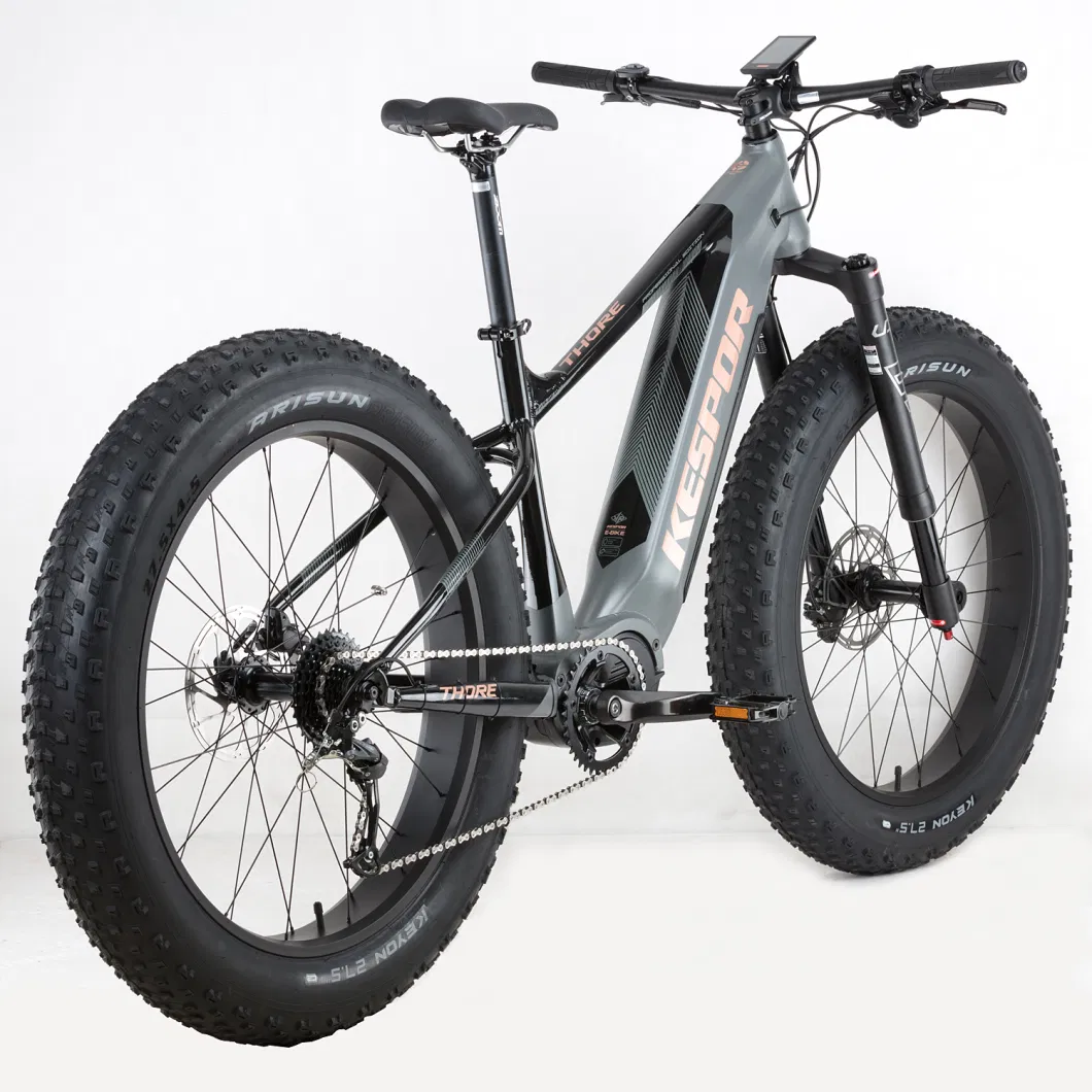 27.5*4.5 Inch Fat Tire Snow Dirt Electric Bike Bicycle with 52V 1000W MID Drive Motor