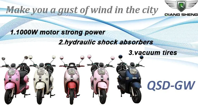 Factory Direct Sales Pedal Assisted Scooters Electric Bike 800W Powerful for Woman