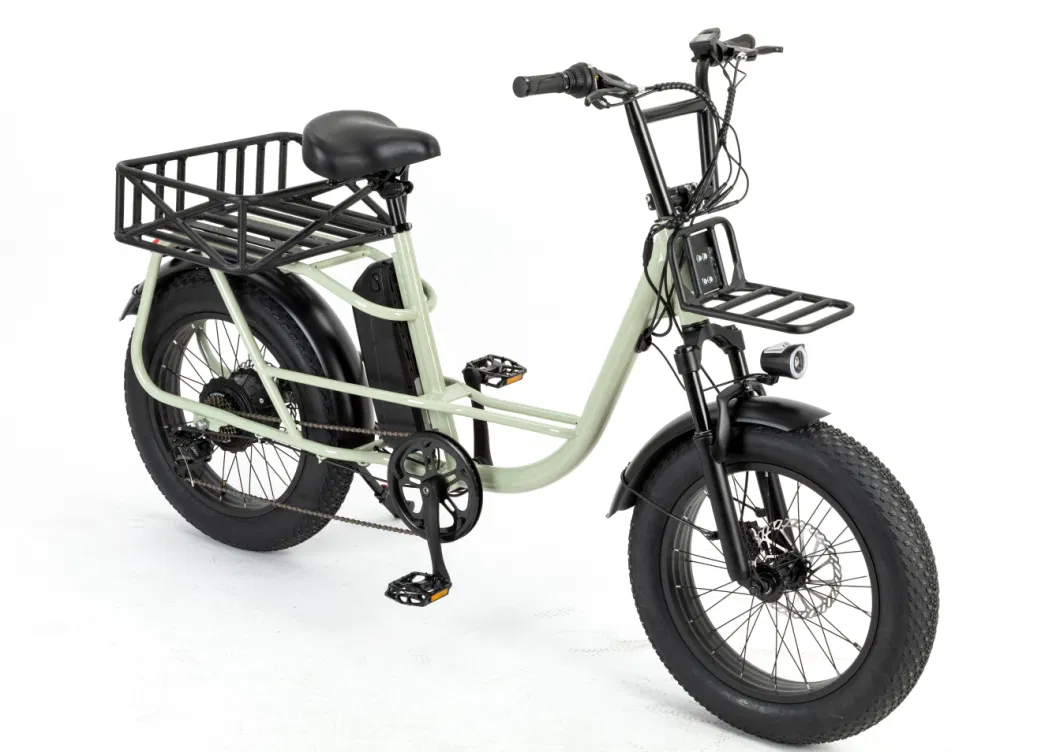 Galaxy E Bikes 2023 Electric Bicycle 750W Rear Drive Cargo Ebike