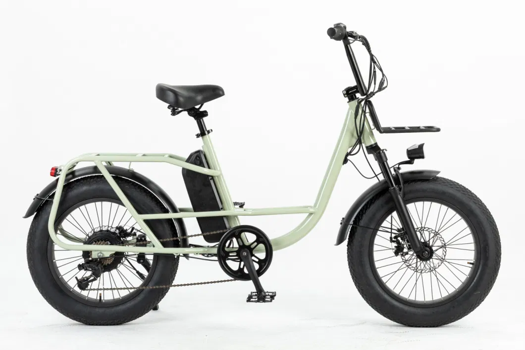 Galaxy E Bikes 2023 Electric Bicycle 750W Rear Drive Cargo Ebike