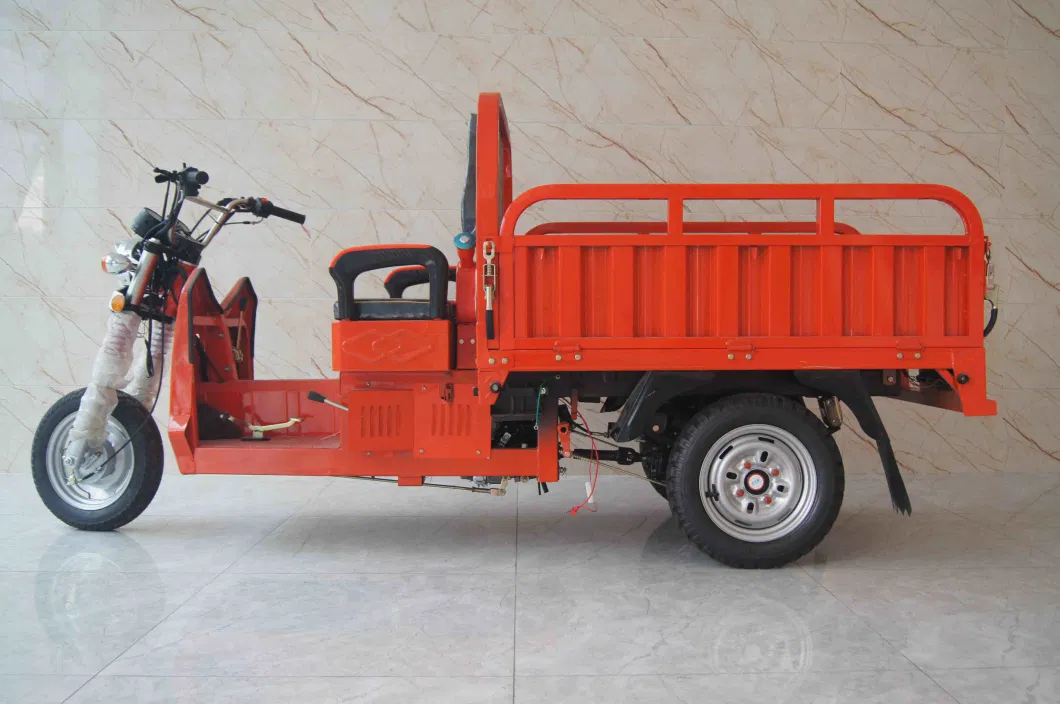 Cargo Loader Clsoed Van Tricycle Auto Rickshaw Passenger Three Wheels Motorcycle