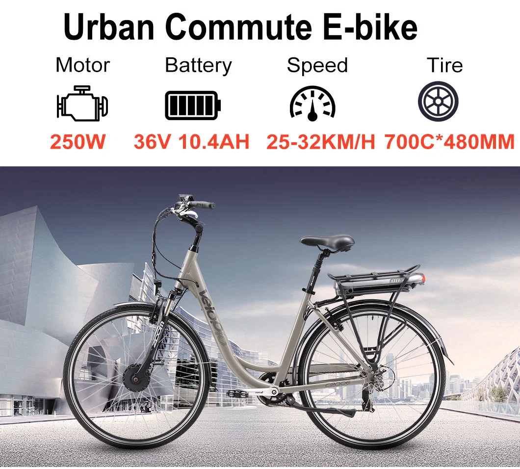 Electric Scooters 250W Bafang Motor Electric Bike