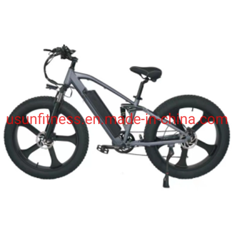 Wholesale Aluminum Alloy Fat Tire Electric Bike Electric Bicycle Mountain Electric Bike with Lithium Battery