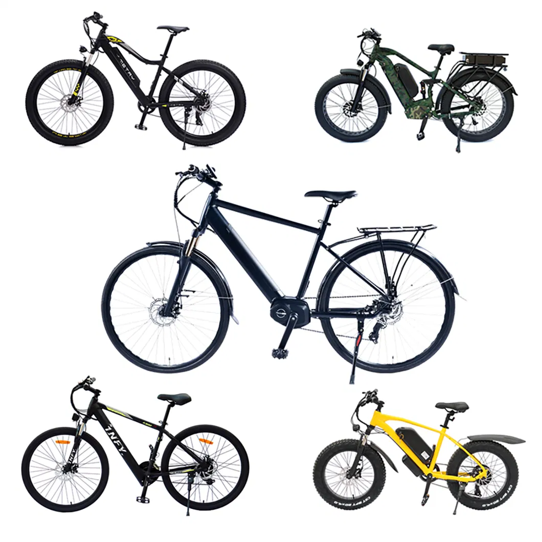 Electric Bike/Emtb/Electric Scooter/Electric Motorcycle/Ebike/Electric Bicycle/Moped