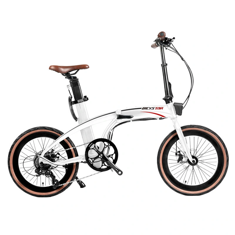 Folding Electric Bicycle 500W Folding Electric Bicycle Bike Lightweight Folding