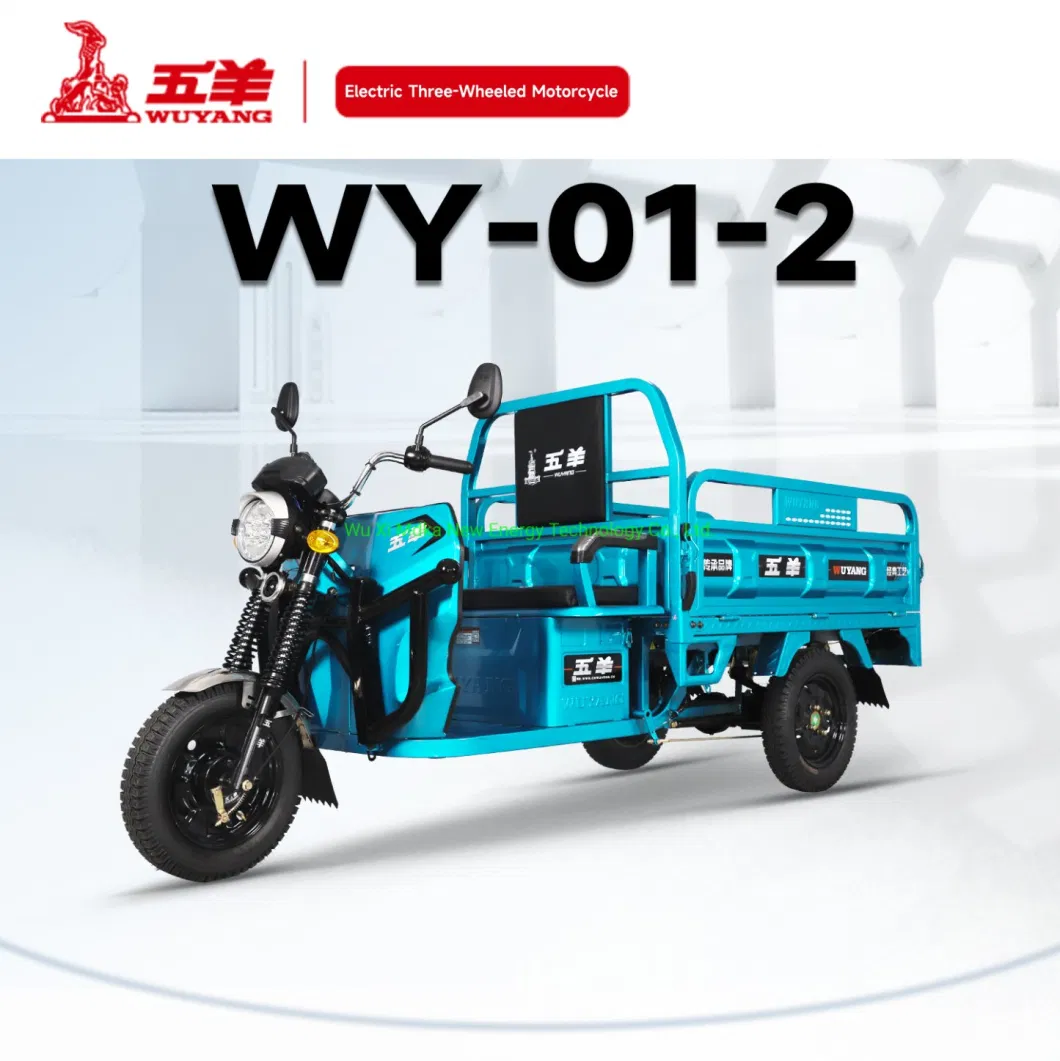 Tricycle Trike Three Wheel Motorcycle Cargo Loader 3 Wheel Truck