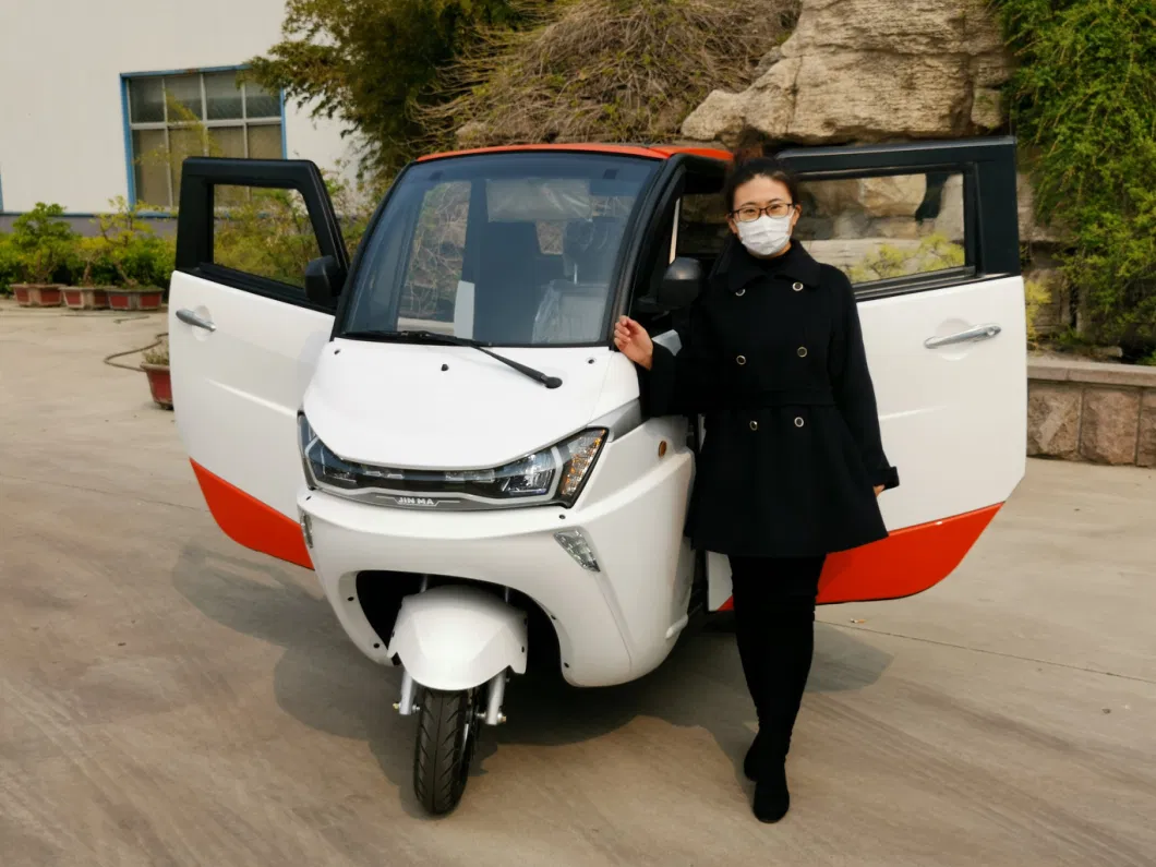 Enclosed Adult Tricycle Electric off Road with EEC Certificate