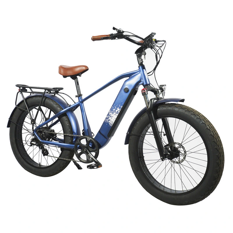 Electric Mountain Sports Bike Bicycles Fat Tire Cheap Bikes for Sale